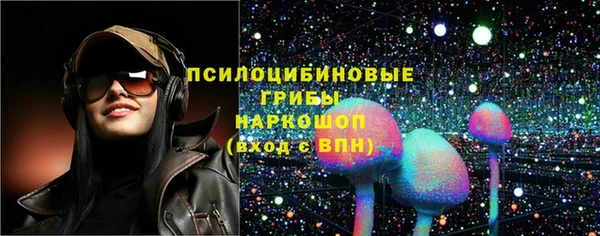 гидра Богородск
