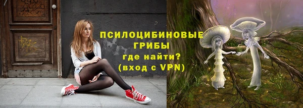 МДМА Бородино